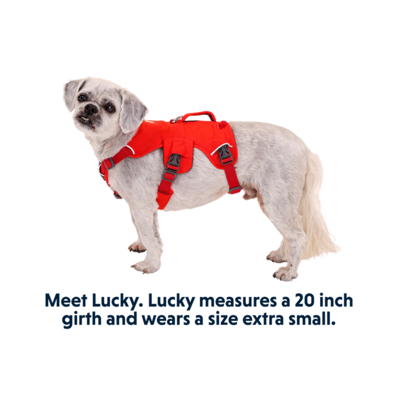 Ruffwear Web Master Harness - Red Sumac-3